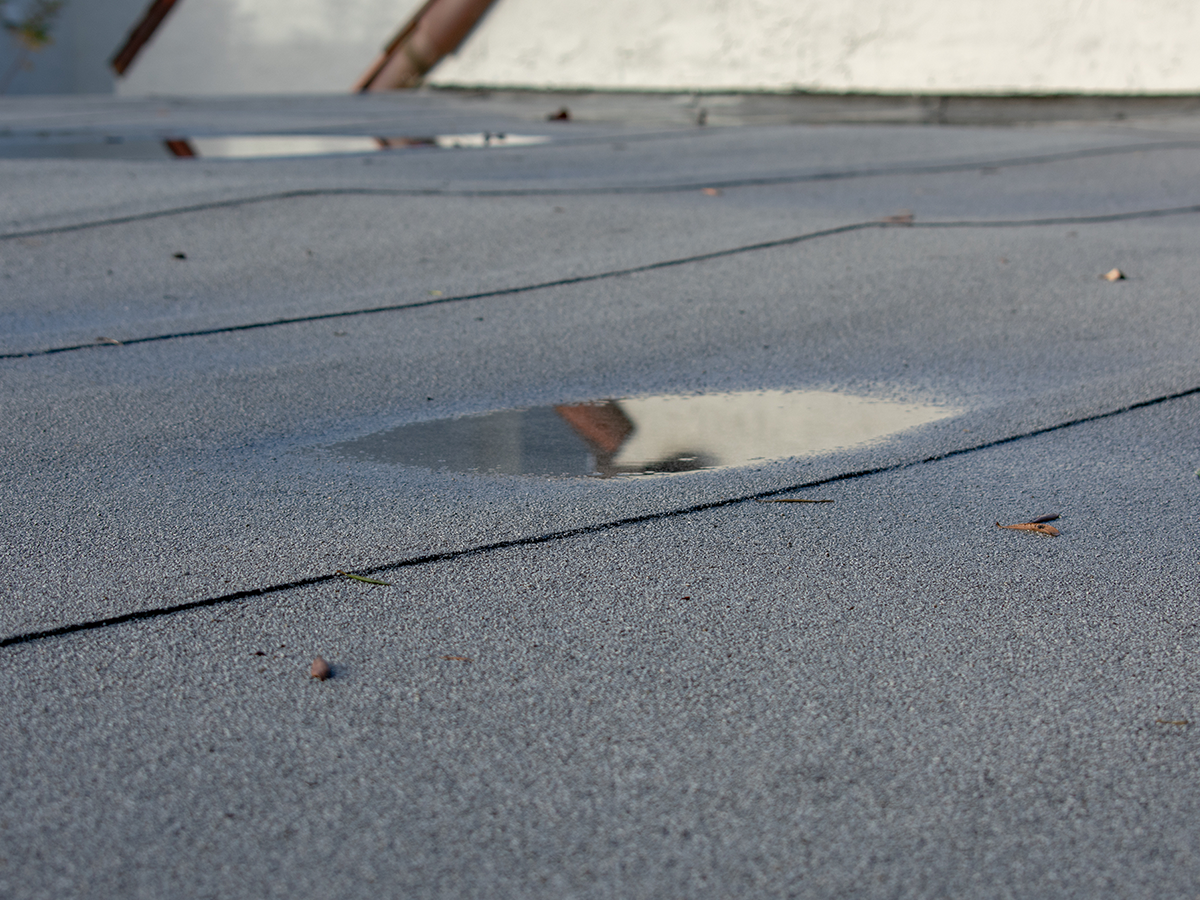 water collecting on roof