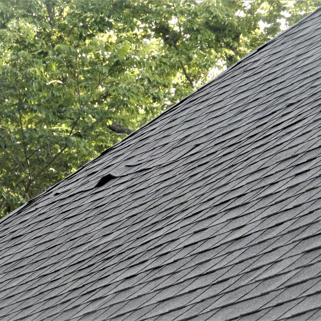 A few shingles on a roof are upturned and damaged.