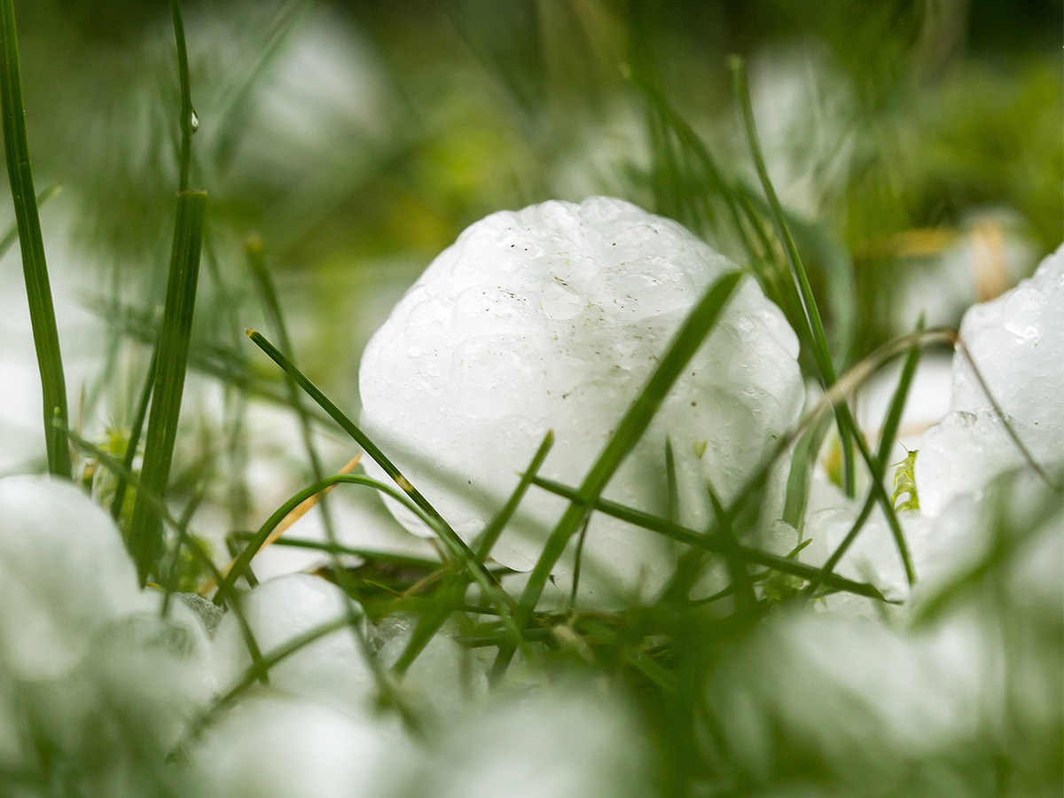 Large sized hail on the ground after a storm
