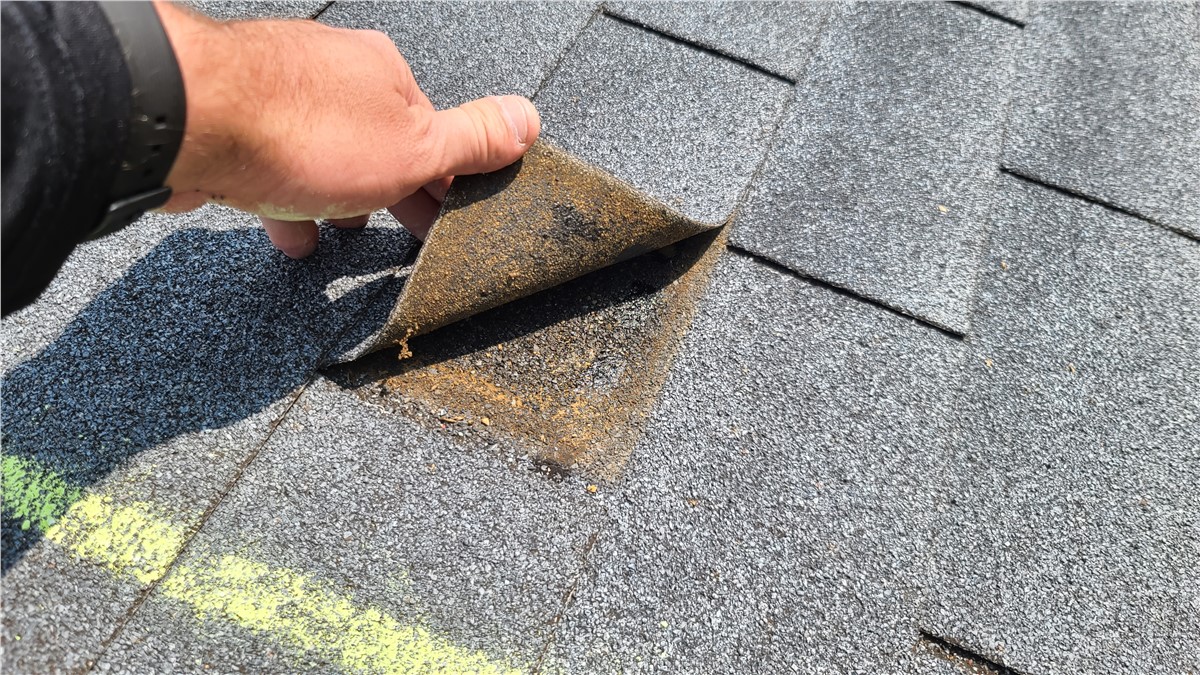 Example of a Roof that Needs Repaired