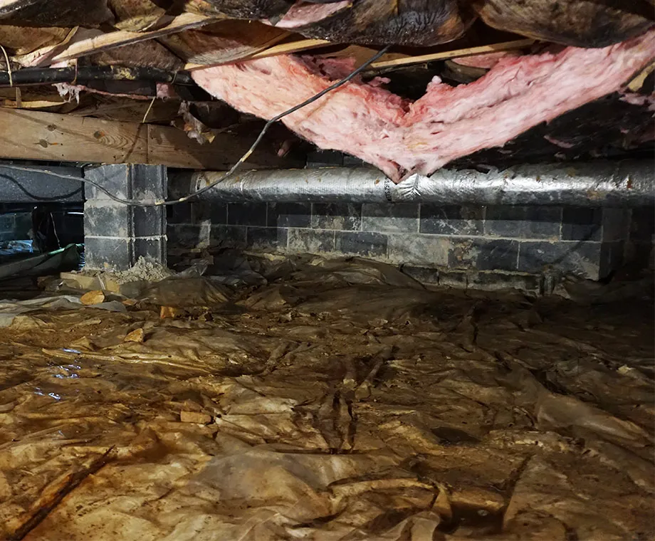 Soggy Insulation