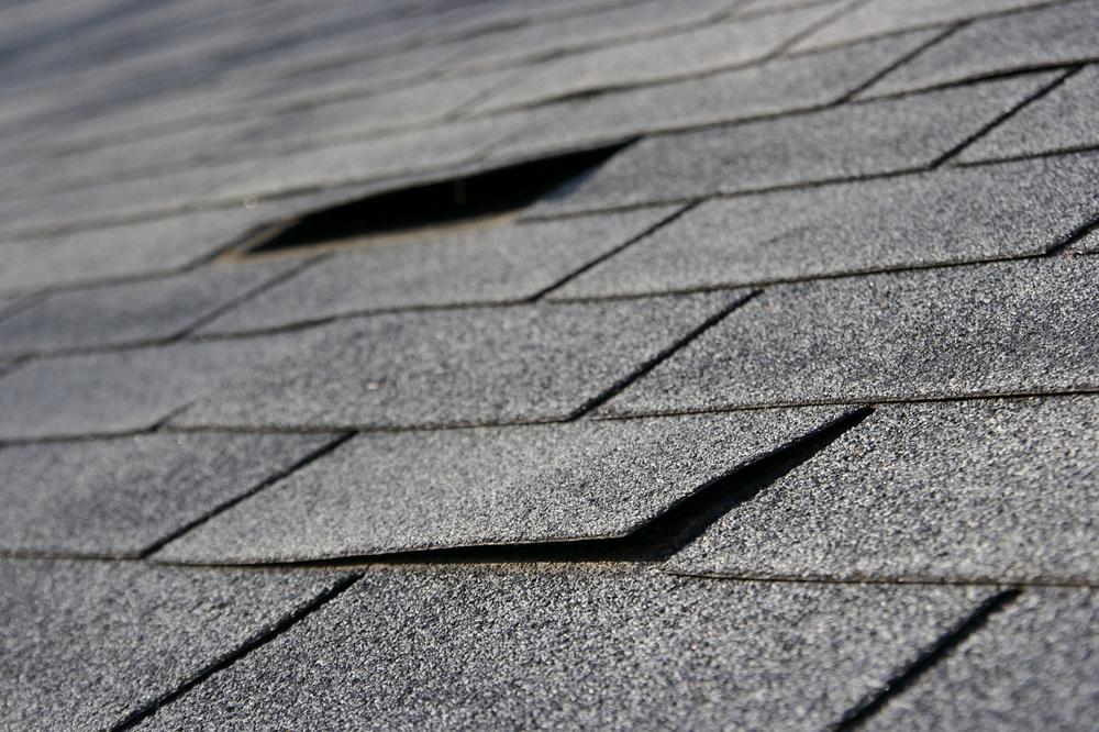 Loose Shingles