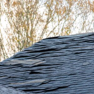 damaged and warped roof shingles