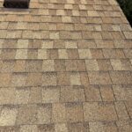damaged roof shingles in fort collins