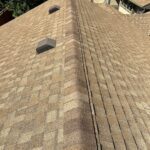 old black roof shingles in fort collins